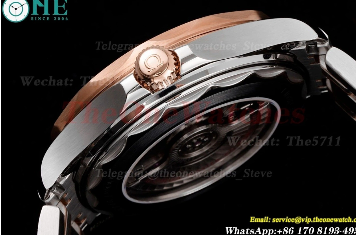 SS 300m Dial 42mm Seamaster Black A8800 JVSF RG 0226